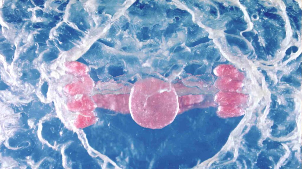 pta11_return cortometraje return